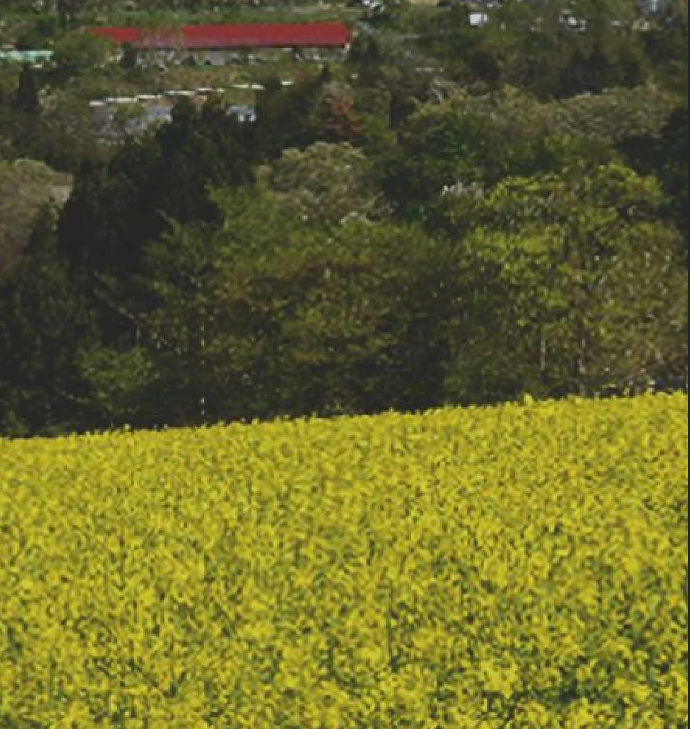 里地・里山