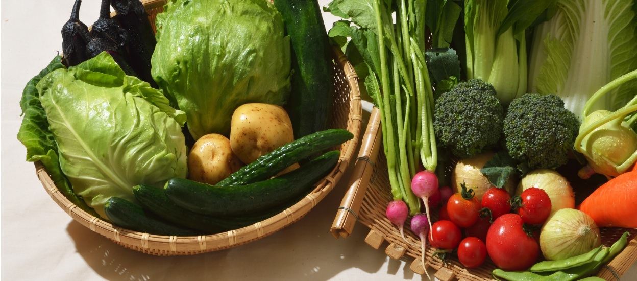 農薬不使用野菜