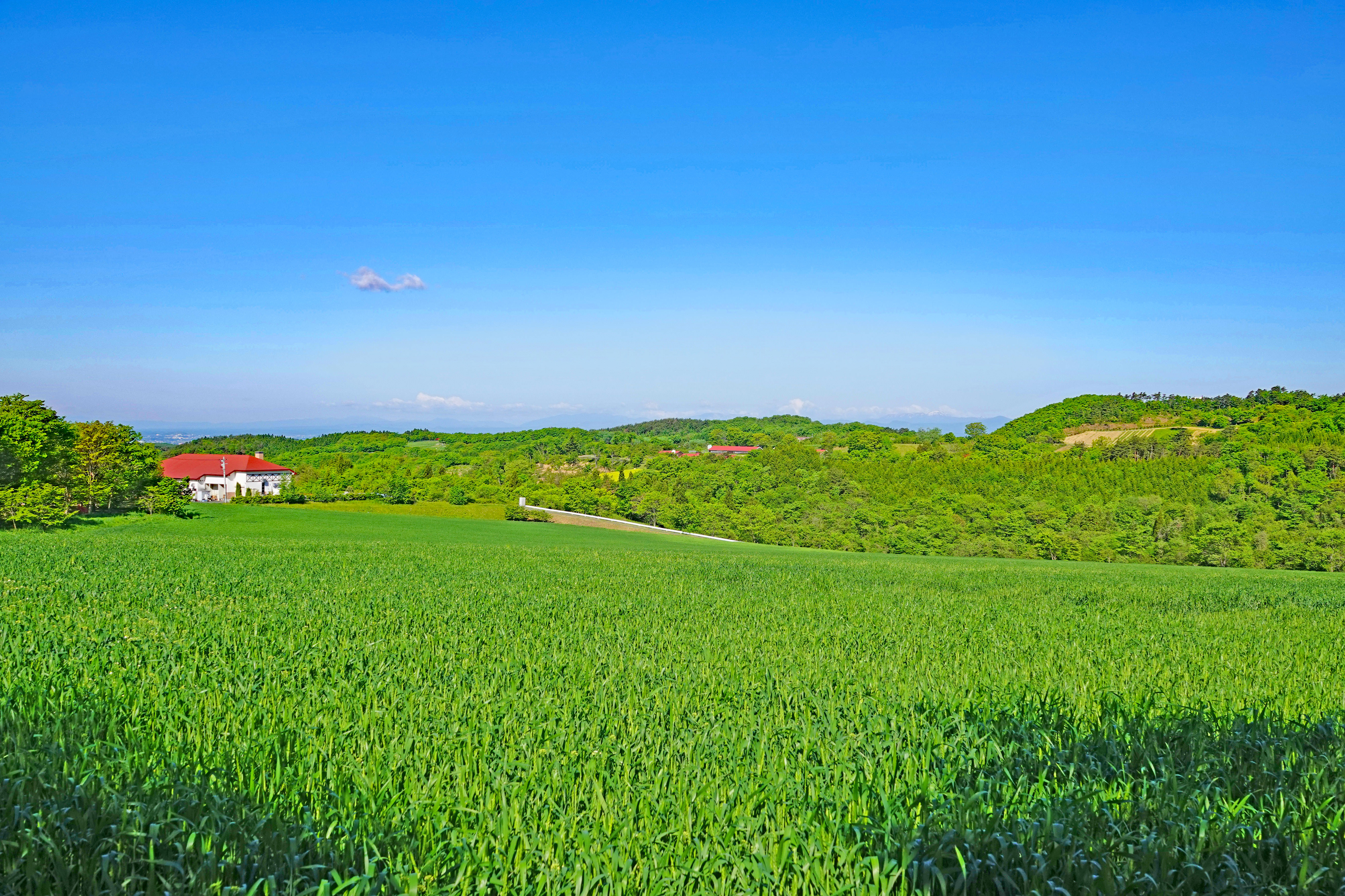 Ark館ヶ森 全景