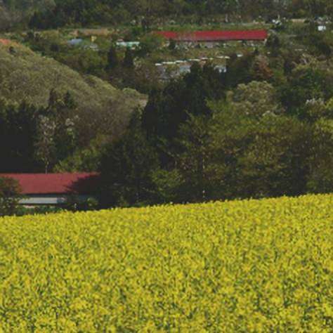 里地・里山保全