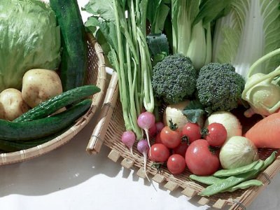 農薬不使用野菜