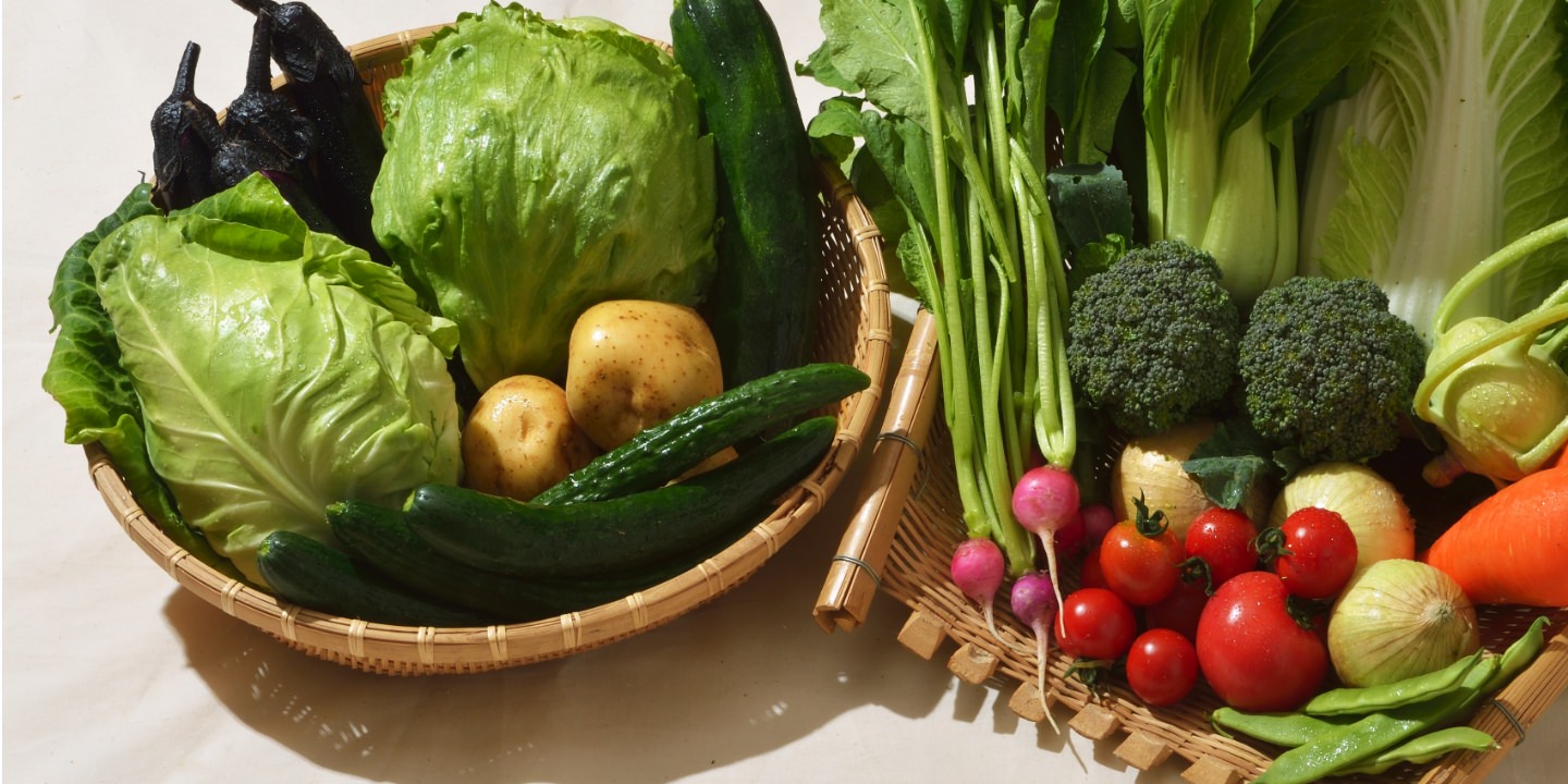 農薬不使用野菜