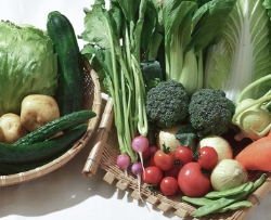 Ark館ヶ森の農薬不使用野菜