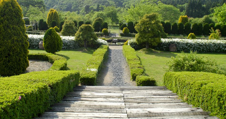 樹木・園芸