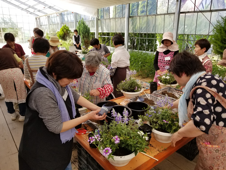 1346花とハーブの寄せ植え教室
