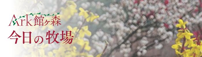 Ark館ヶ森、本日の営業案内