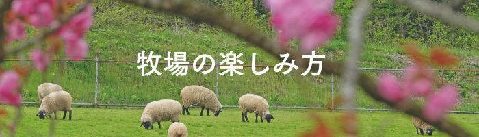 Ark館ヶ森、牧場の楽しみ方