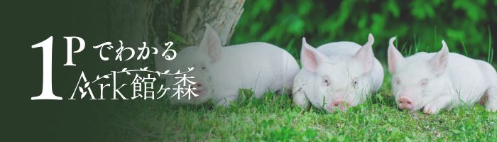 1PでわかるArk館ヶ森