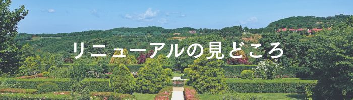 リニューアルの見どころ