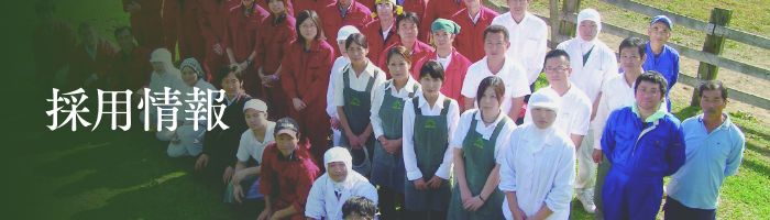 採用情報