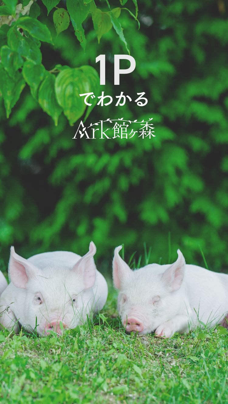 1PでわかるArk館ヶ森