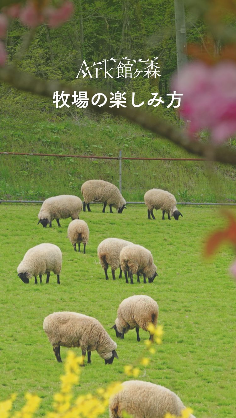 Ark館ヶ森、牧場の楽しみ方
