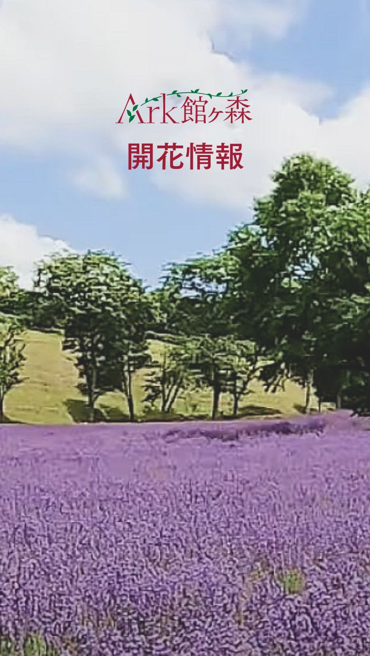 ガーデンの開花情報