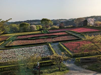 今シーズンから場内への入場が変わります。