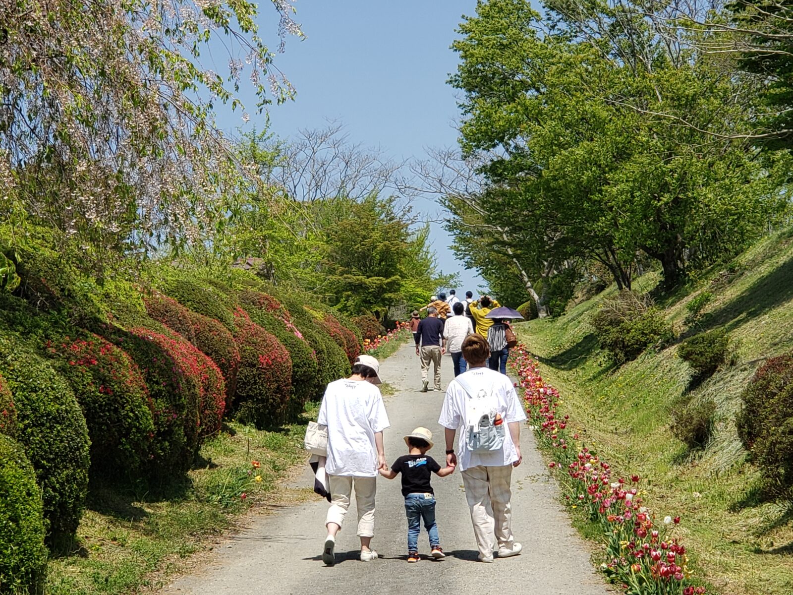 はじめまして！おしゃべりな一本道です！
