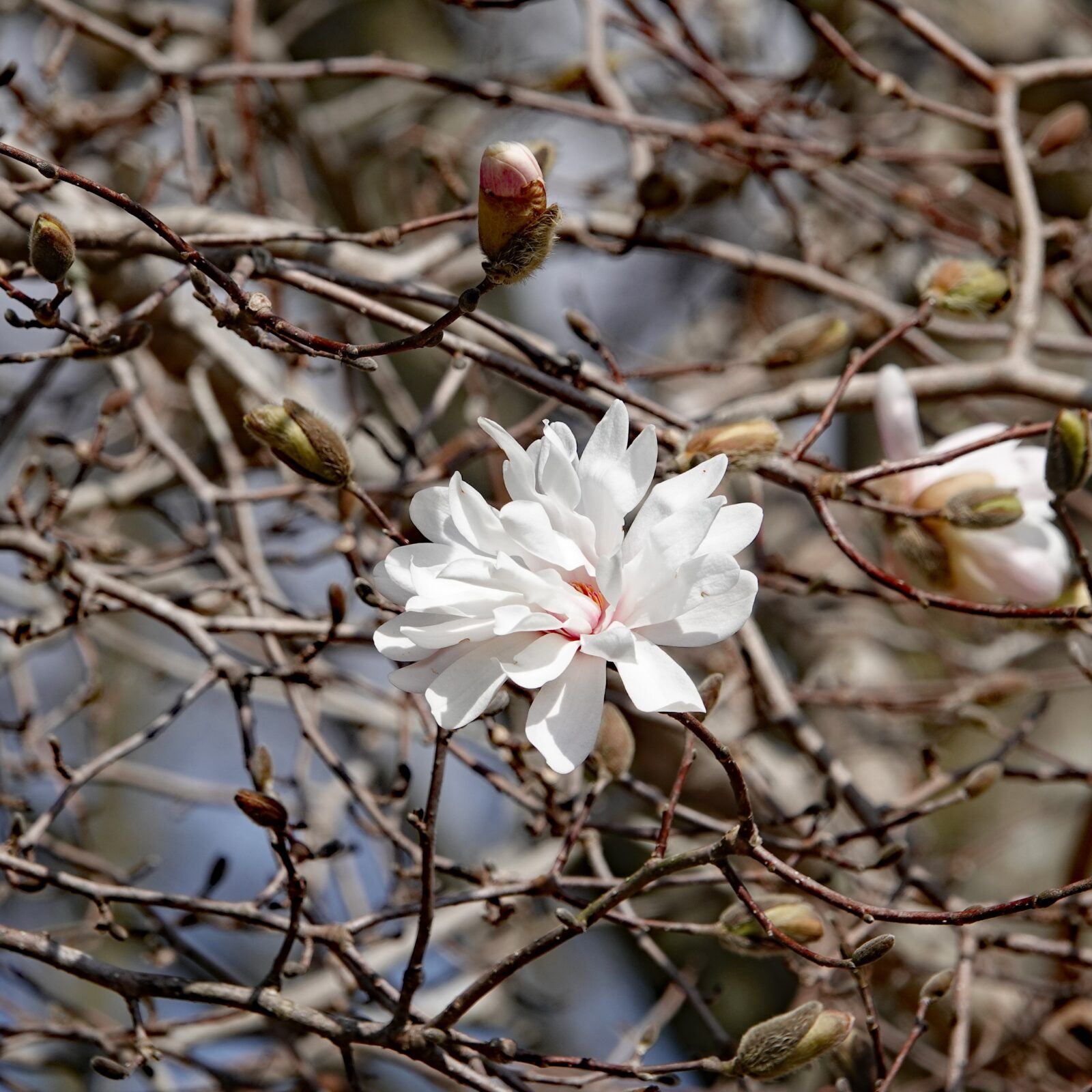 今年度の目標