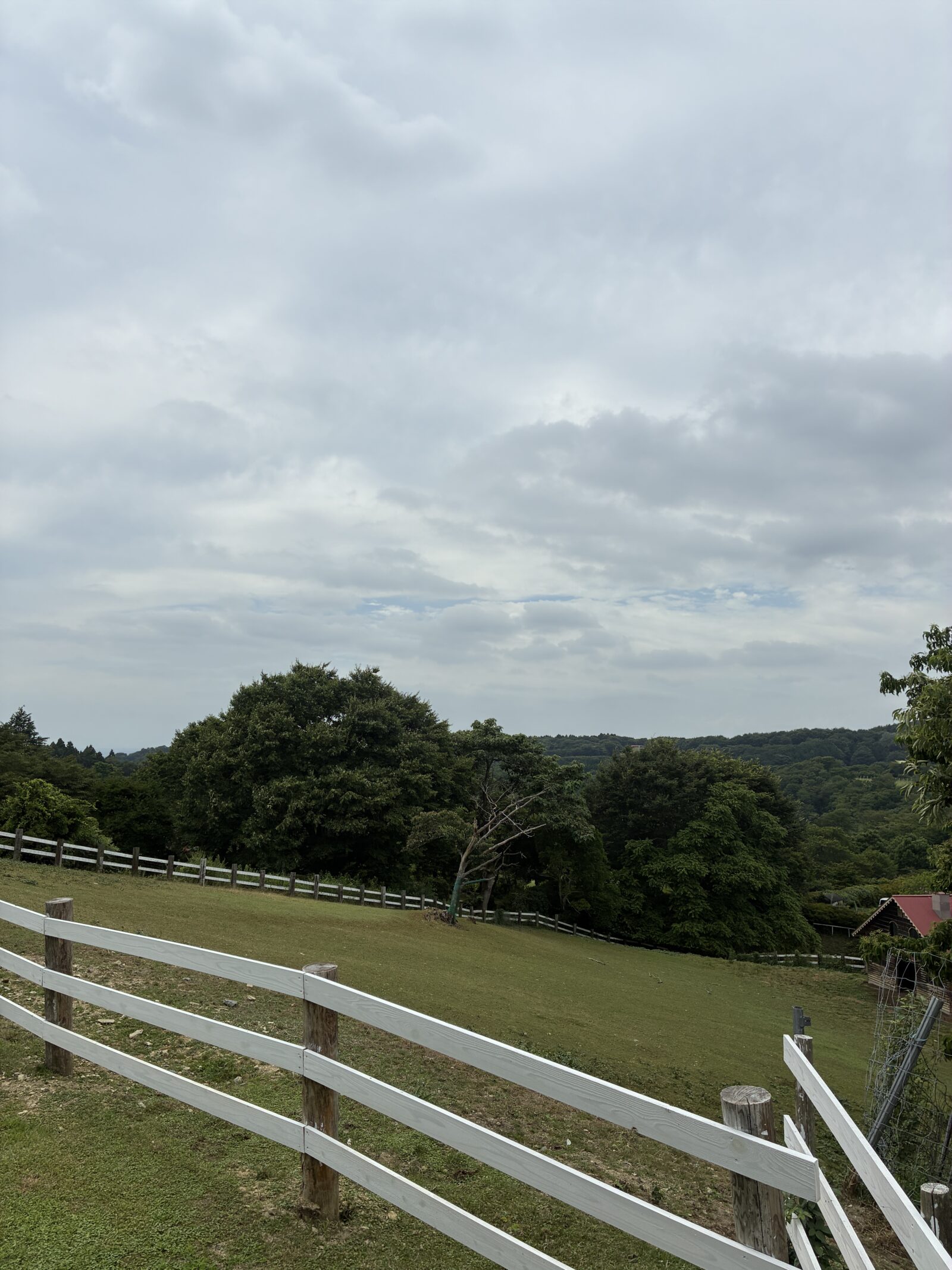 外作業での暑さ対策について