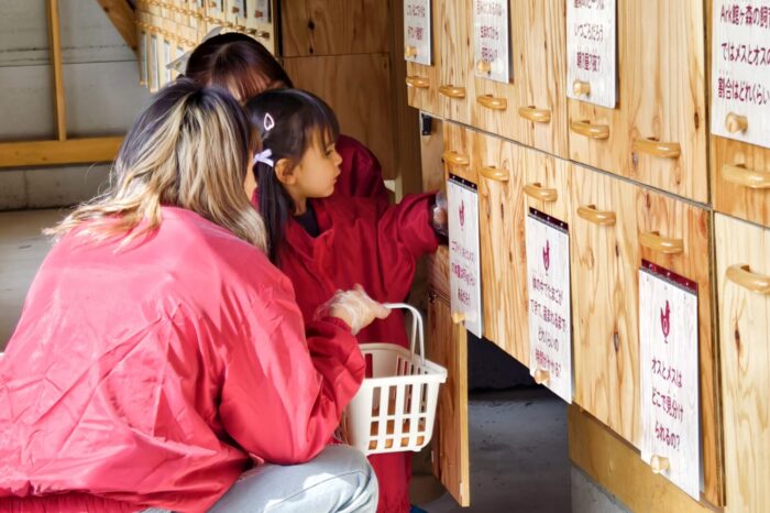 夏休み特別企画！「たまごの学校特別課外授業」